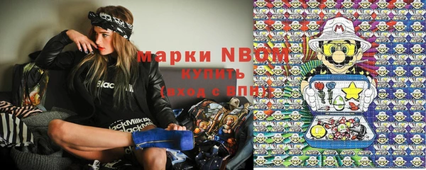 прущий лед Богданович