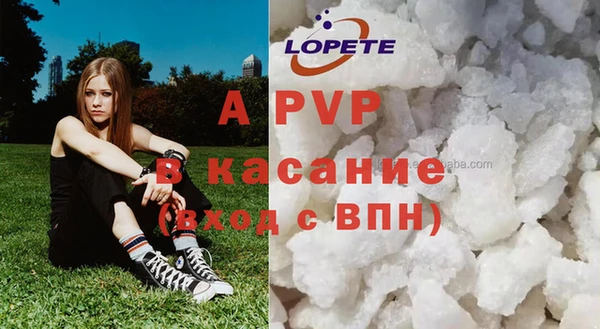 прущий лед Богданович
