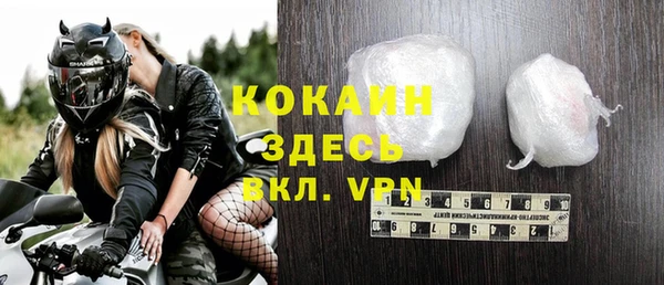 прущий лед Богданович
