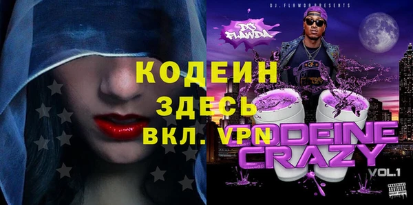 прущий лед Богданович