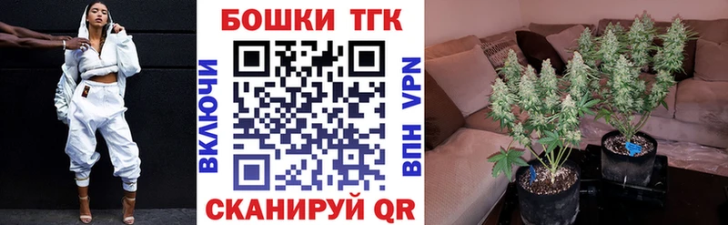 Шишки марихуана конопля Кирсанов
